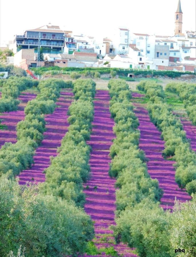 Hospedium Dlj Hostal Tematico Desde La Juderia Arjona Εξωτερικό φωτογραφία